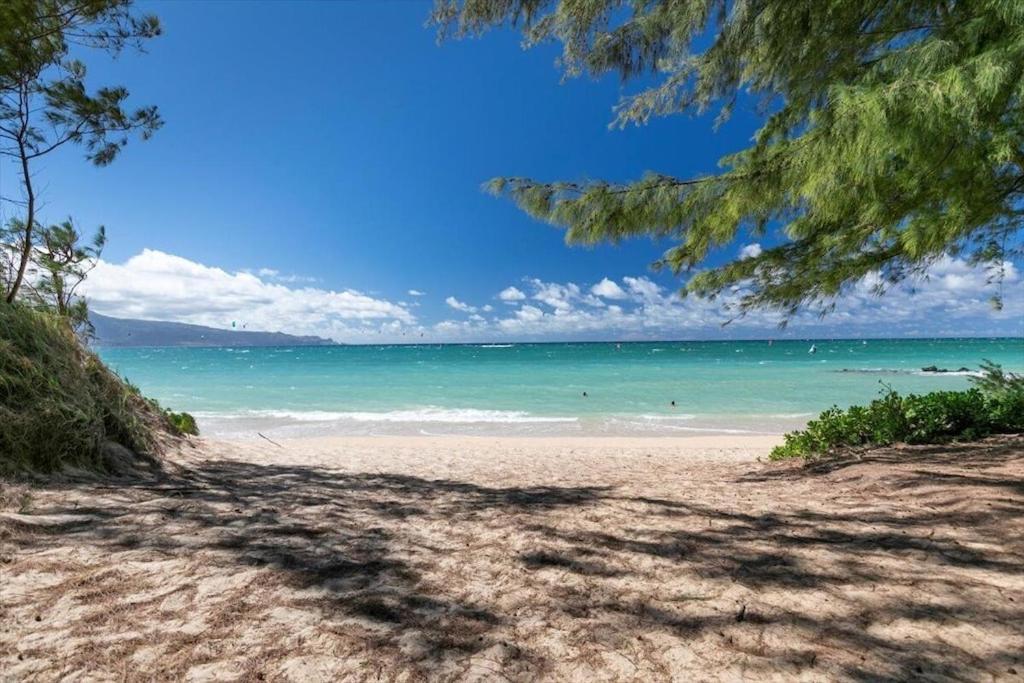 Unit 5 Maui Ohana Modern Apartment Wailuku