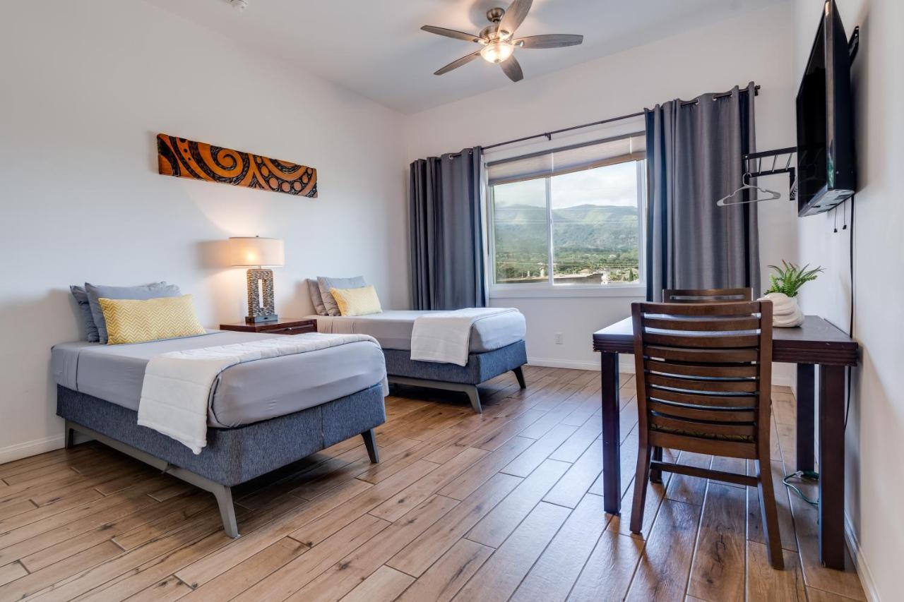 Unit 5 Maui Ohana Modern Wailuku
